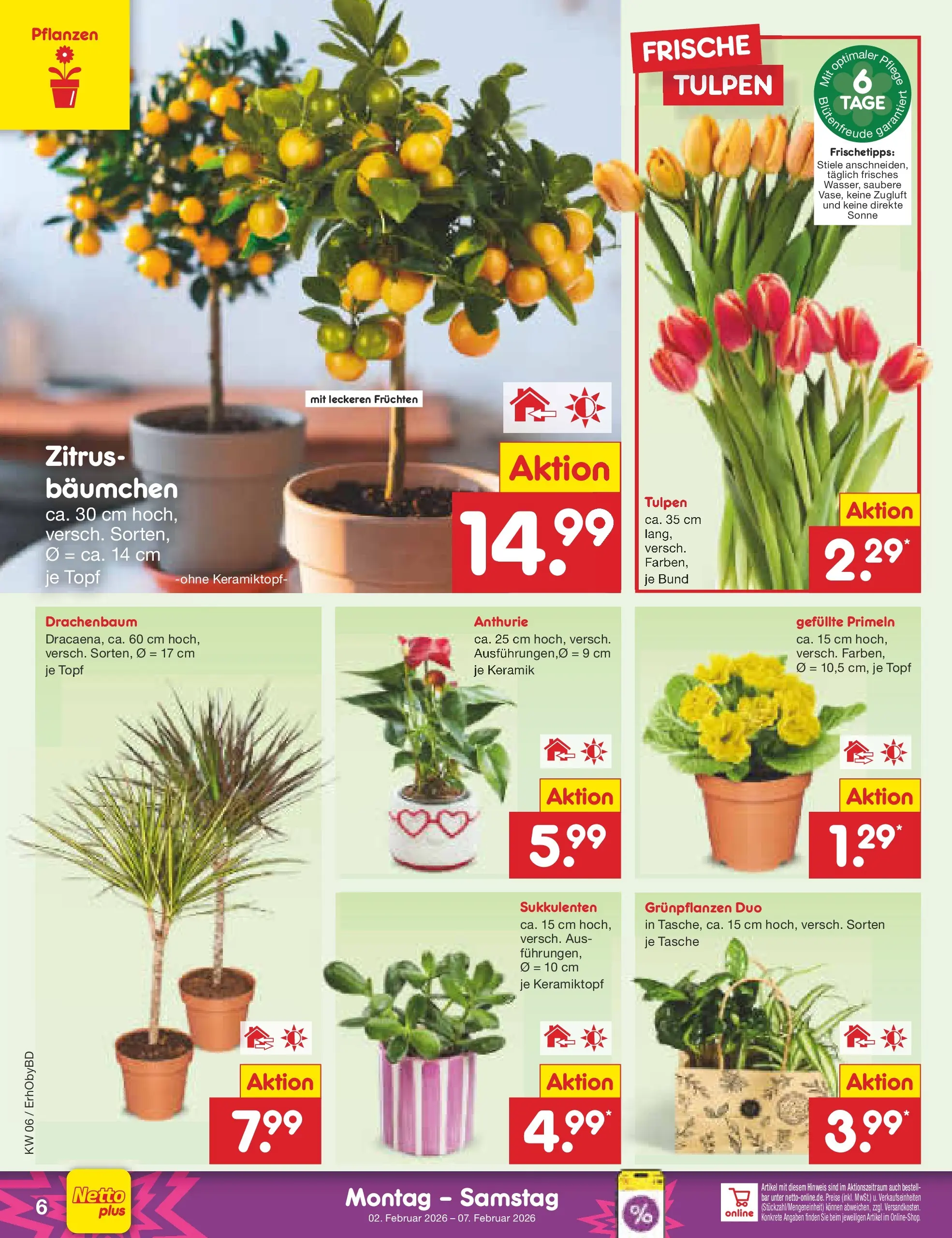 Netto Marken-Discount prospekt Velden	 (ab 02.02.2026) » Angebote | Seite: 6 | Produkte: Tasche