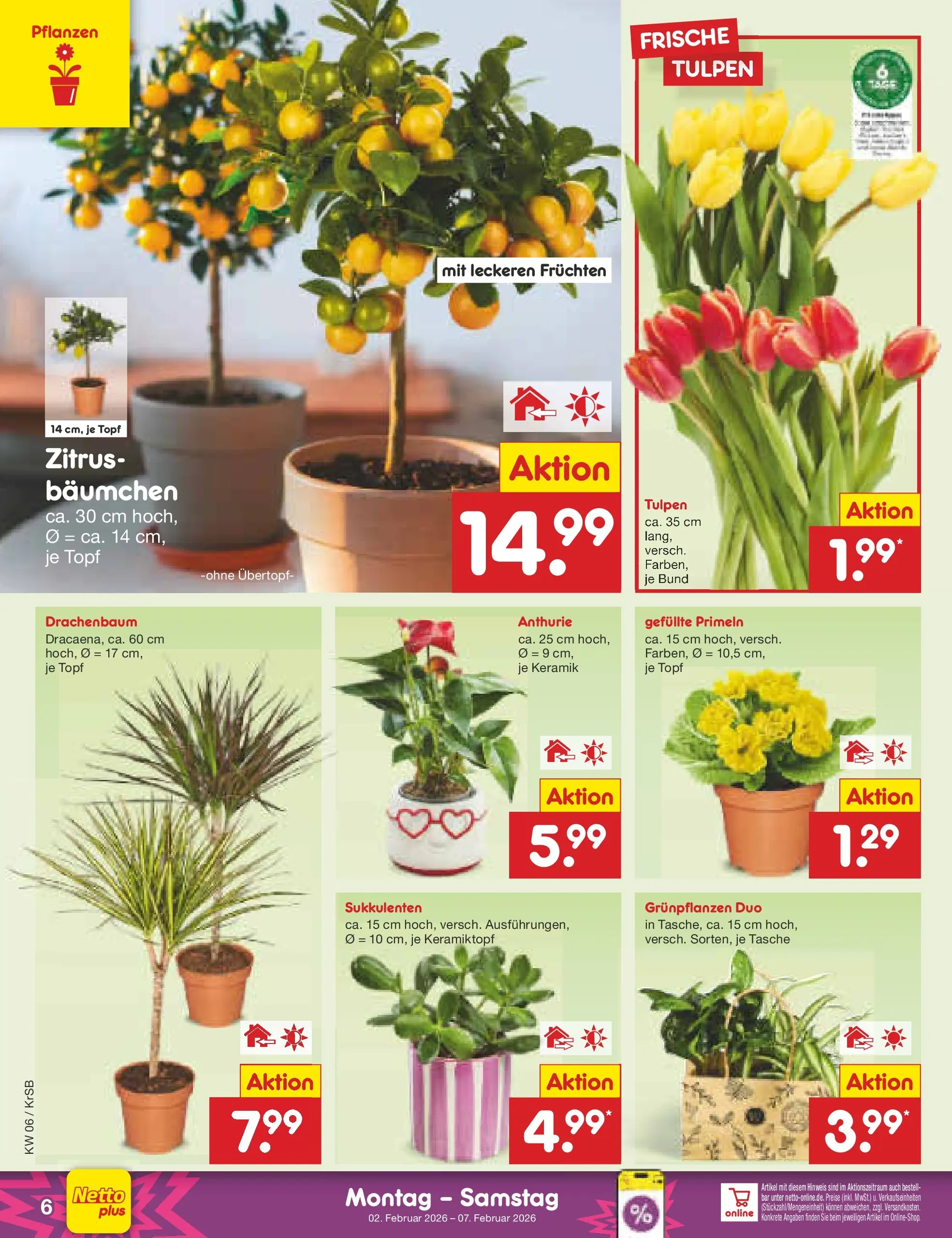 Netto Marken-Discount prospekt Jüchen	 (ab 02.02.2026) » Angebote | Seite: 6