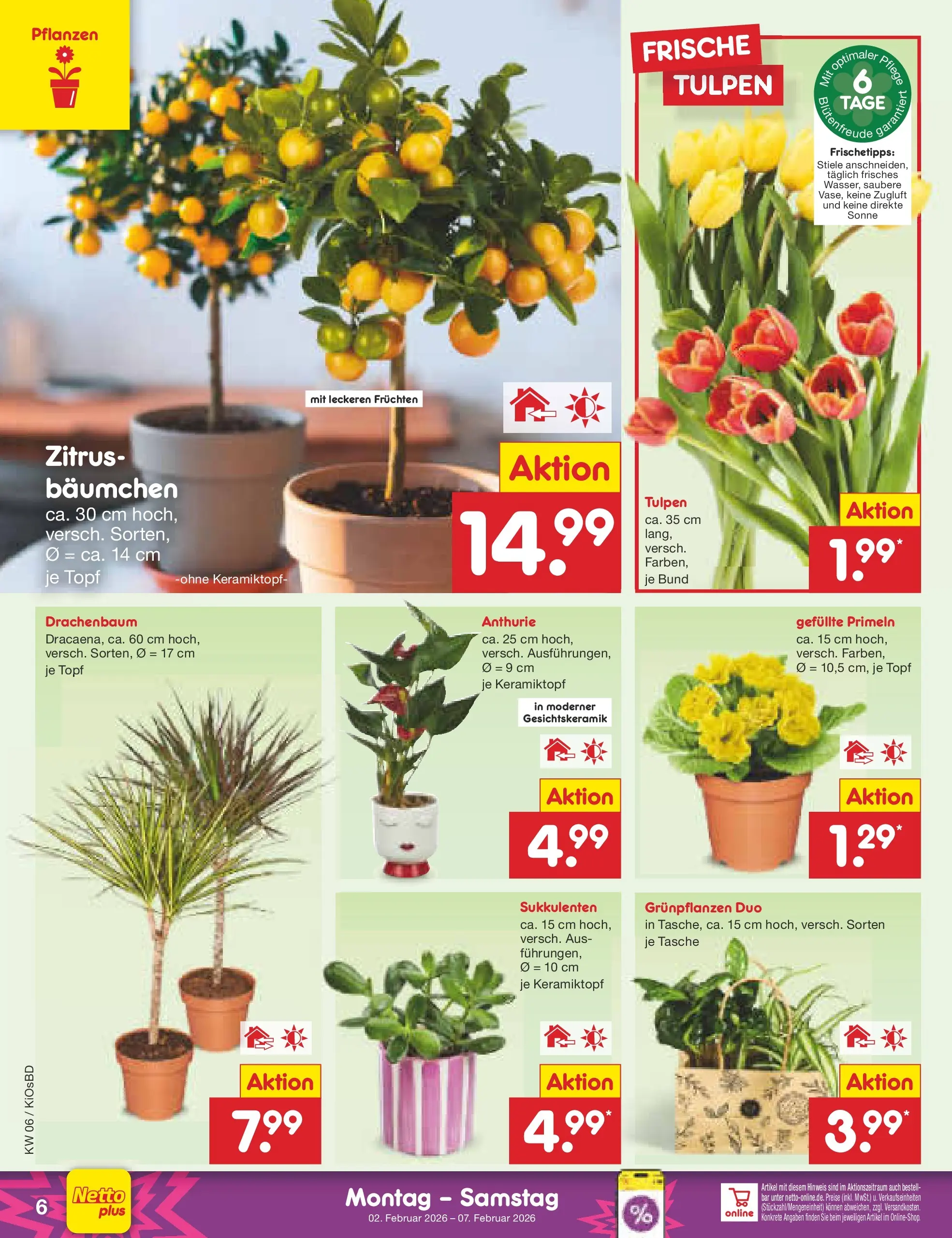 Netto Marken-Discount prospekt Mistelbach	 (ab 02.02.2026) » Angebote | Seite: 6