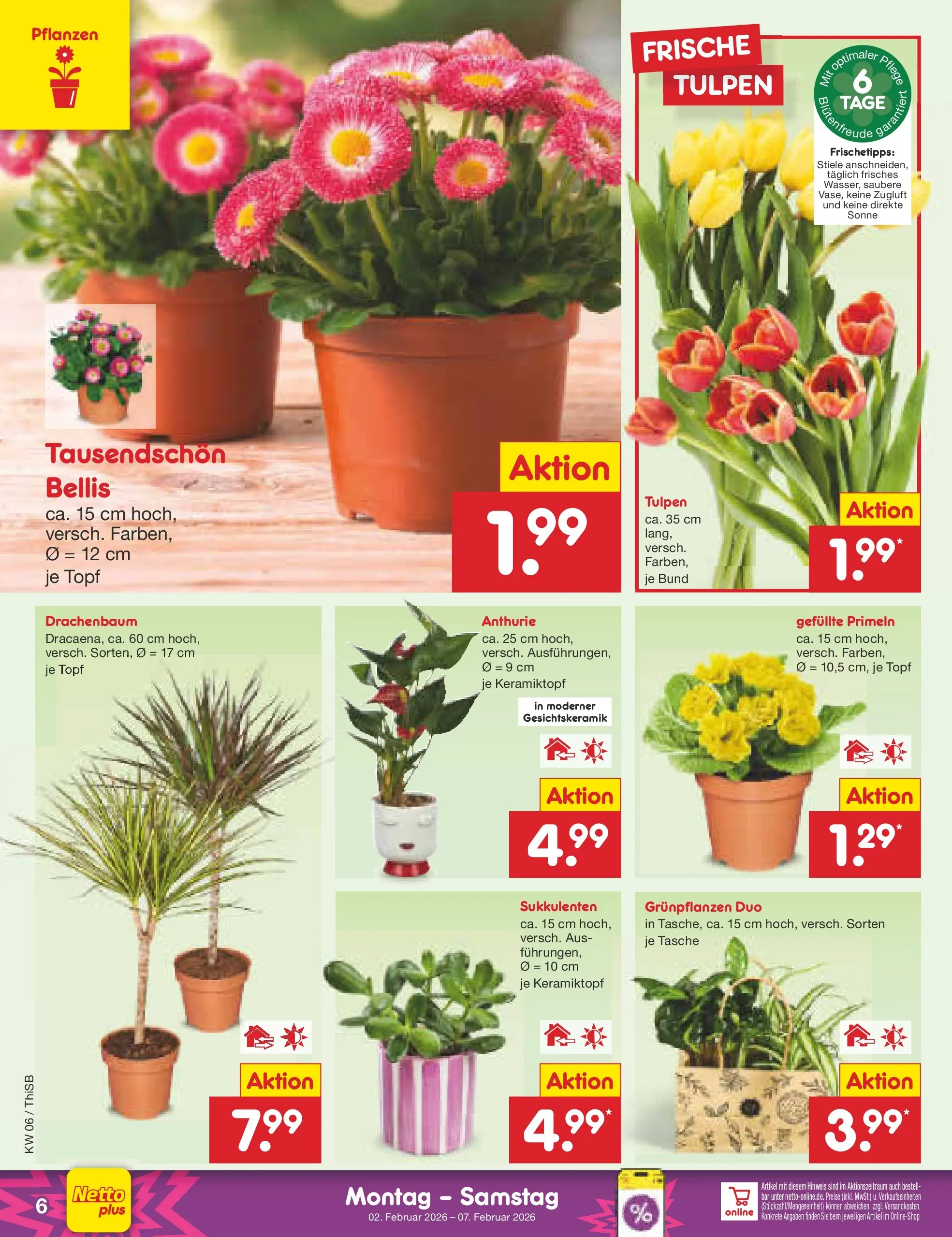 Netto Marken-Discount prospekt Pirna	 (ab 02.02.2026) » Angebote | Seite: 6 | Produkte: Tasche