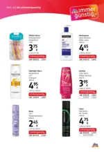 dm dm: Journal Express - bis 25.02.2026