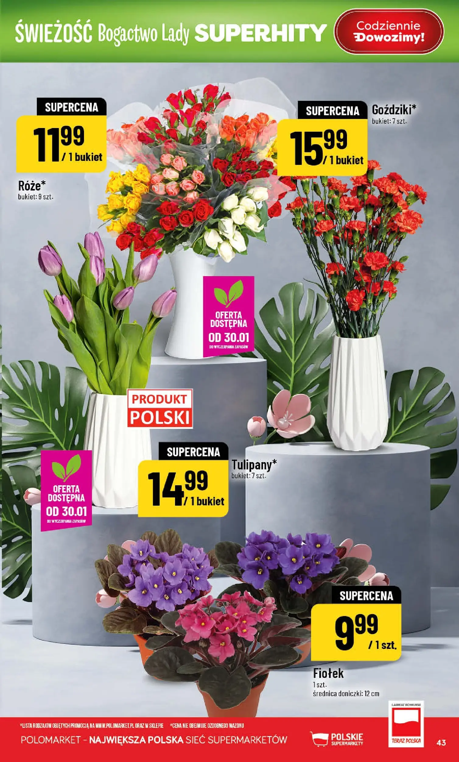 Nowa POLOmarket gazetka od jutra 28.01.2026 (PDF) | Strona: 43 | Produkty: Doniczki