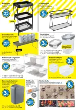 TEDi TEDi: entdecke die neuen TEDi Trends - bis 07.02.2026