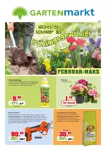 IFS s.r.l. Febbraio-Marzo - al 31.03.2026