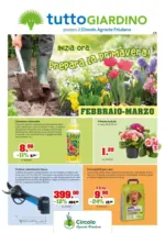 IFS s.r.l. Febbraio-Marzo - al 31.03.2026