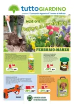 IFS s.r.l. Febbraio-Marzo - al 31.03.2026