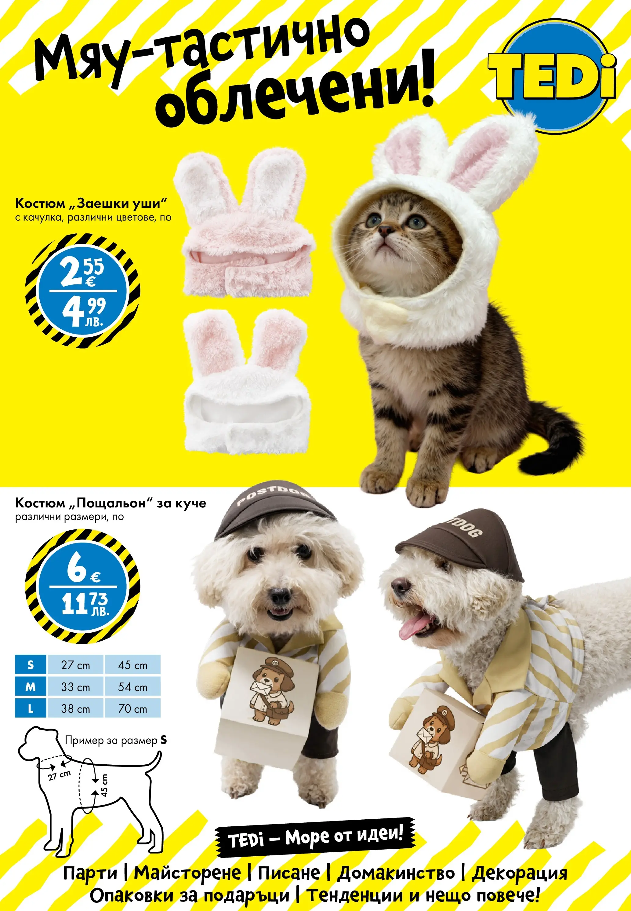 TEDi - TEDi пренася сцената при теб с предложения валидни до 08.02.2026 валидна от: 29.01.2026 - 08.02.2026 - онлайн брошура | Страница: 12 | Продукти: Костюм, Декорация