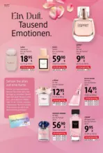 dm dm: Journal Februar 2026 - bis 11.03.2026