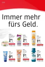 dm dm: Journal Februar 2026 - bis 11.03.2026