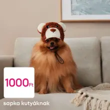 Pepco &uacute;js&aacute;g &eacute;rv&eacute;nyess&eacute;ge 2026.01.28-ig