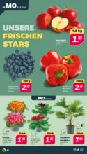 Netto APS : Wochenangebote