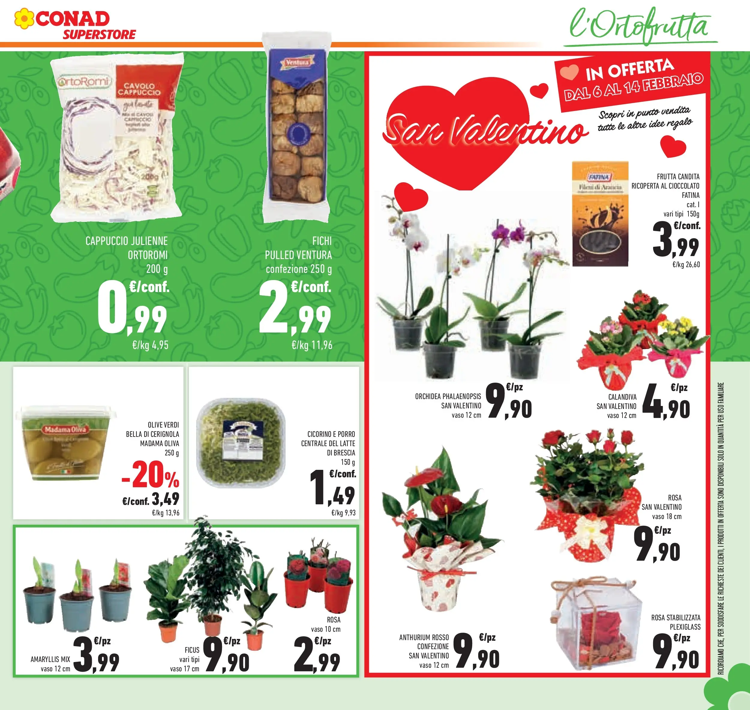 Volantino Conad dal 29/01/2026 > Anteprima | Pagina: 13 | Prodotti: Cioccolato, Olive, Cavolo, Orchidea