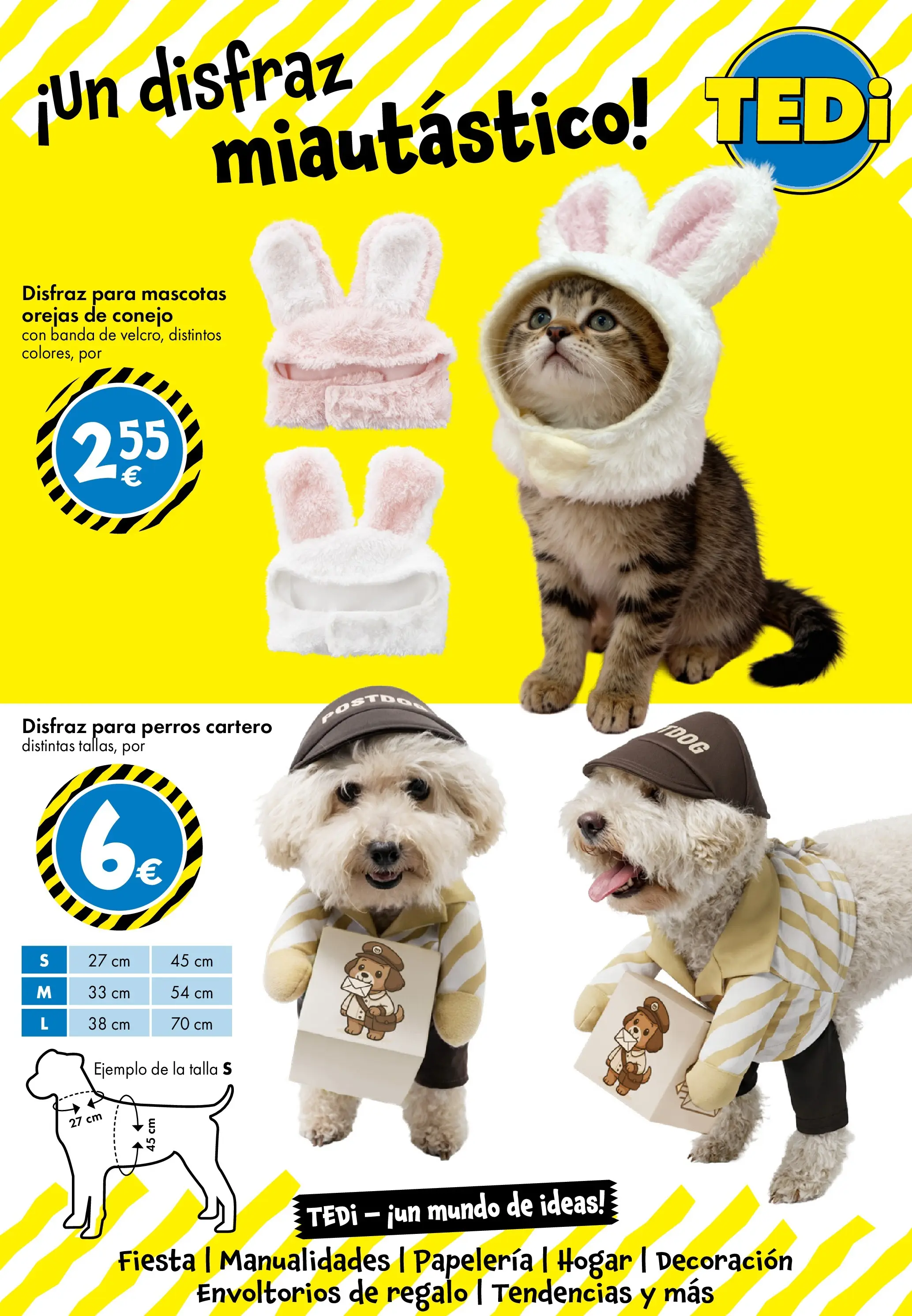 TEDi - TEDi catálogo hasta 07.02.2026 28/01/2026 - 07/02/2026 | Página: 13