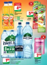 Dino 05 26 www small