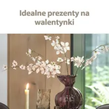 Ekskluzywne oferty i okazje