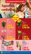 ЛИДЛ Звездни предложения в американски стил в ЛИДЛ с валидност до 08.02.2026 - от 02-02-26