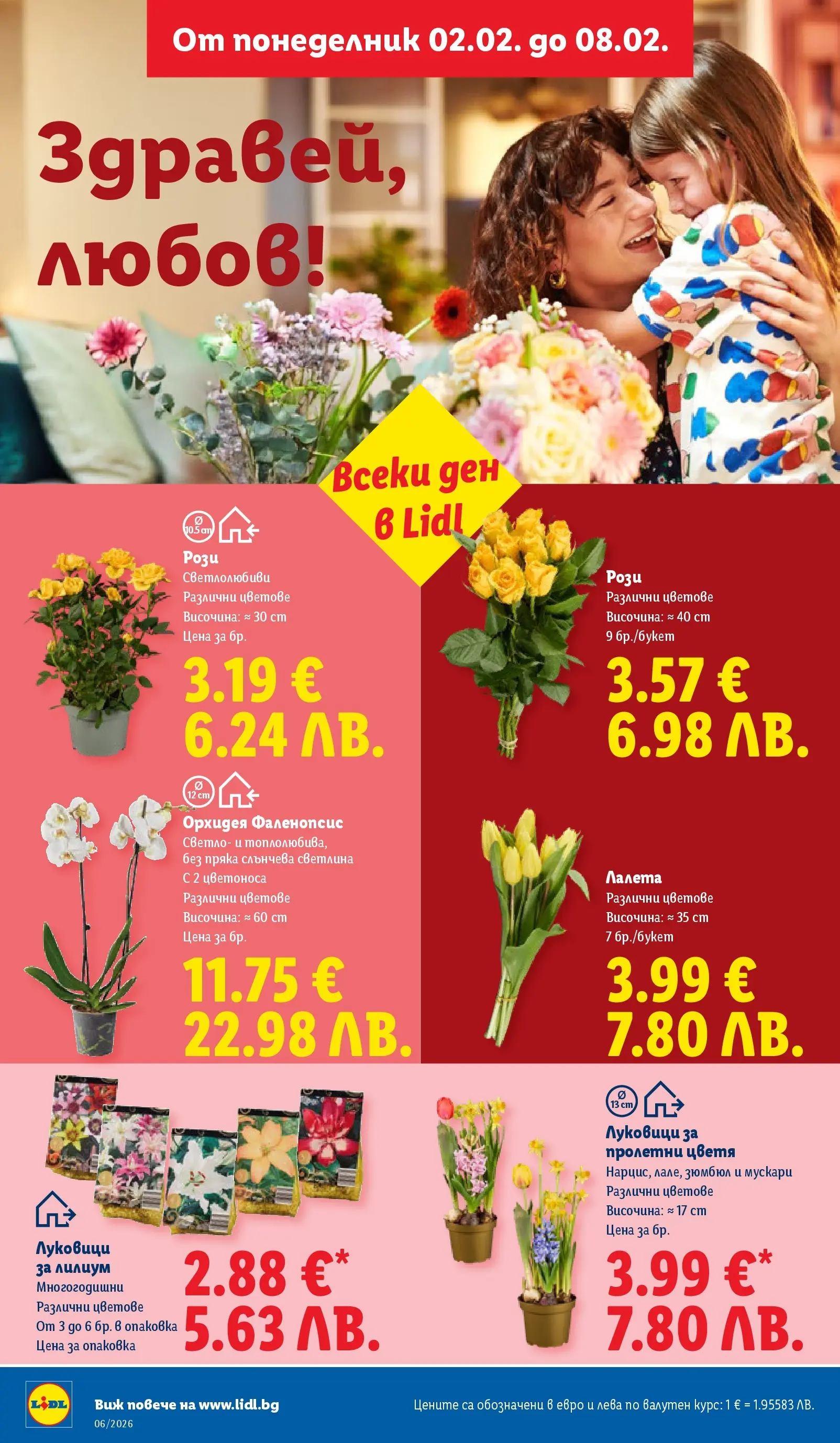 Лидл - Звездни предложения в американски стил в ЛИДЛ с валидност до 08.02.2026 от 01.02.2026 | Страница: 48 | Продукти: Орхидея