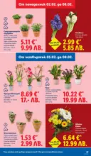 ЛИДЛ Звездни предложения в американски стил в ЛИДЛ с валидност до 08.02.2026 - до 08-02-26