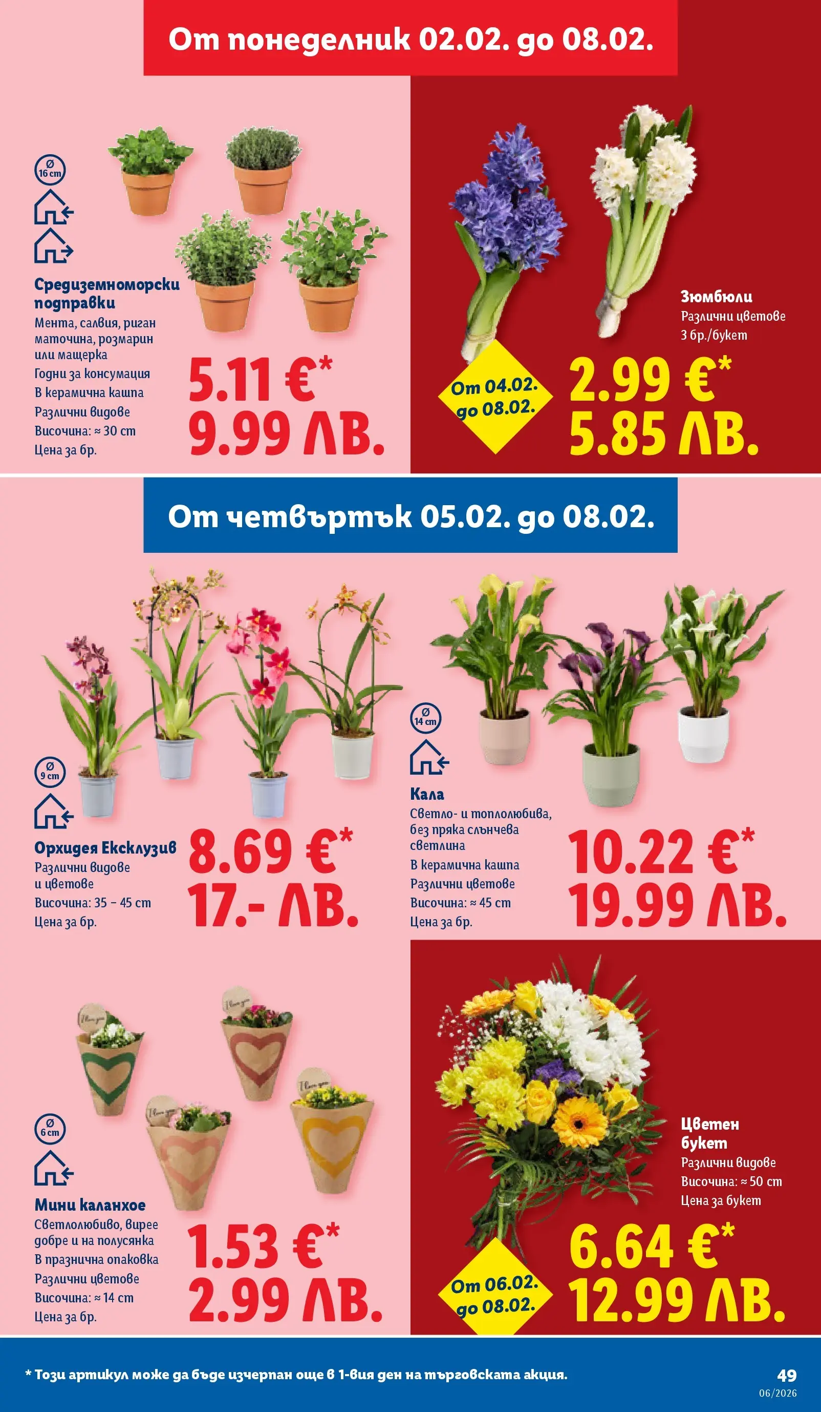 Лидл - Звездни предложения в американски стил в ЛИДЛ с валидност до 08.02.2026 от 01.02.2026 | Страница: 49 | Продукти: Подправки, Риган, Орхидея