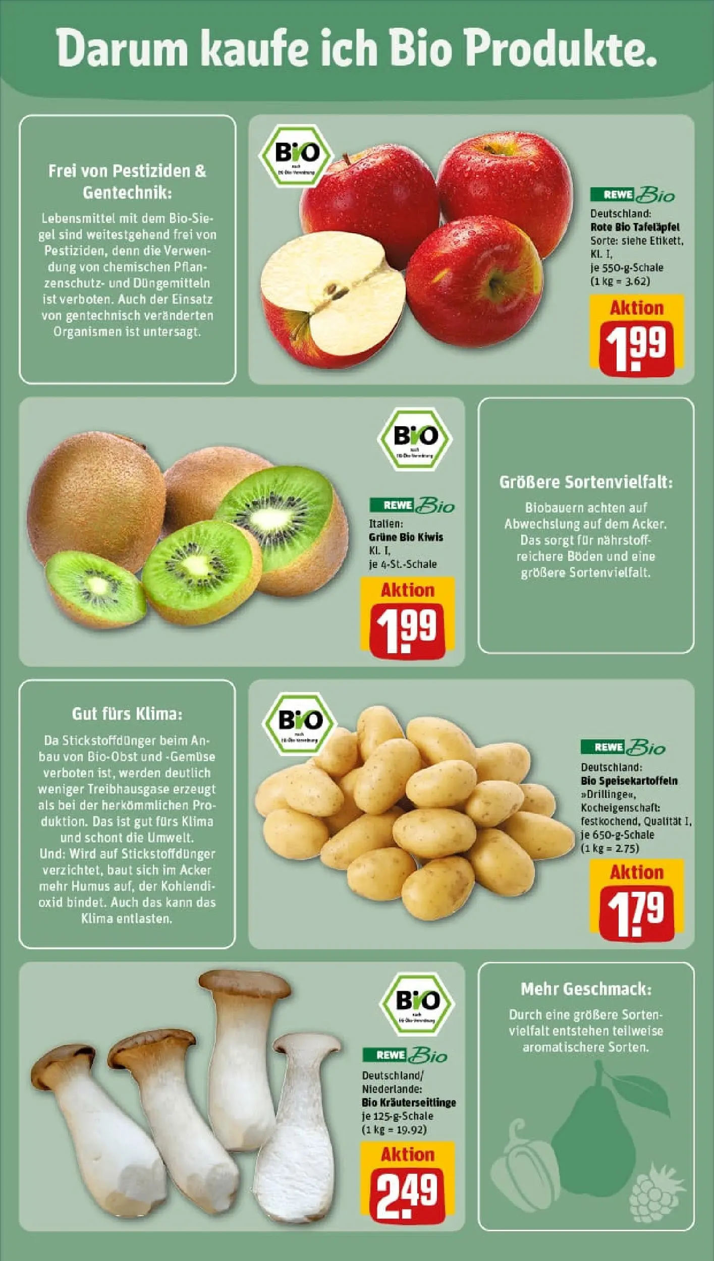 REWE Prospekt ab 01.02.2026 zum Blättern » Angebote | Seite: 11