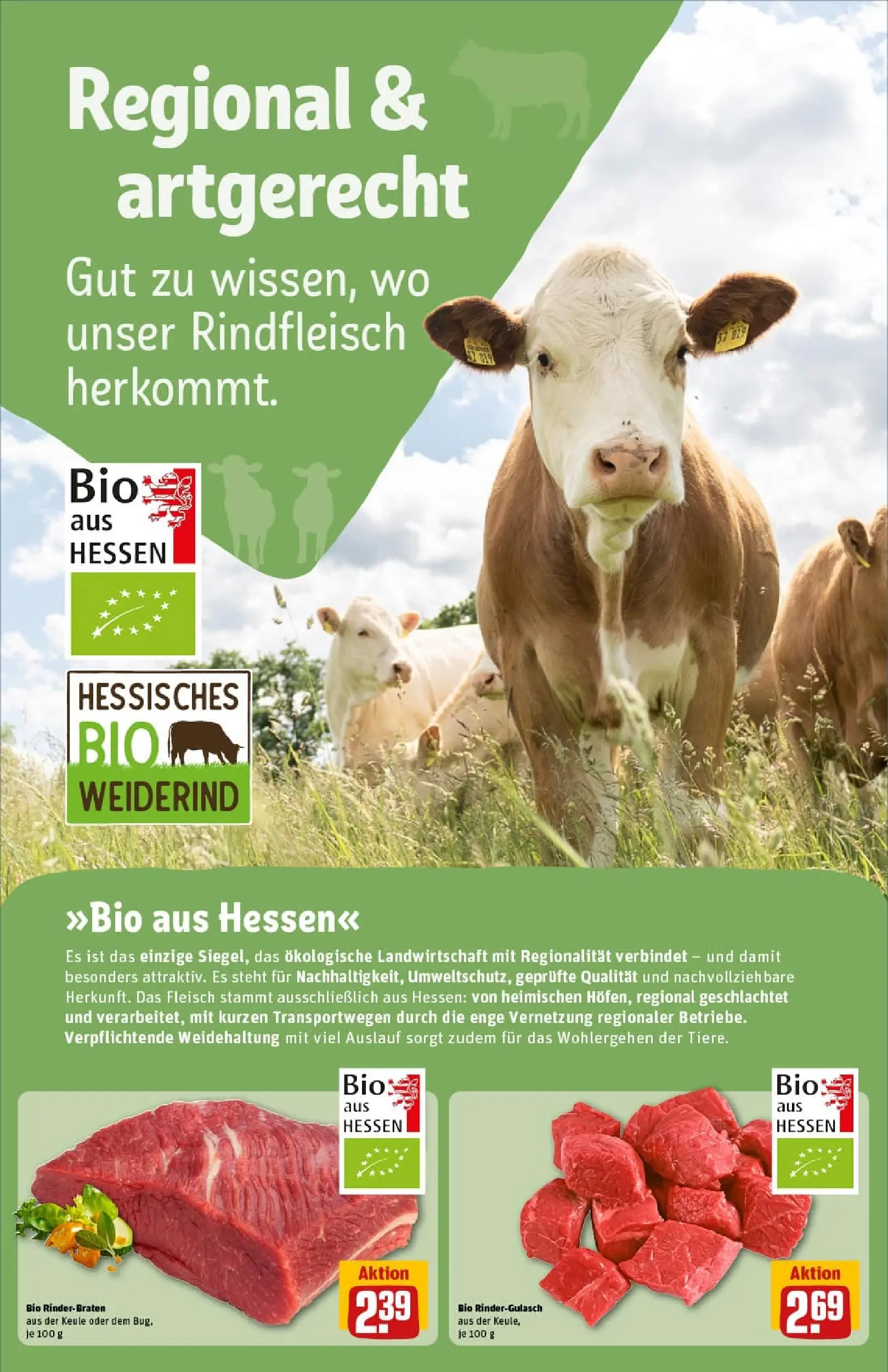 REWE Prospekt ab 01.02.2026 zum Blättern » Angebote | Seite: 14