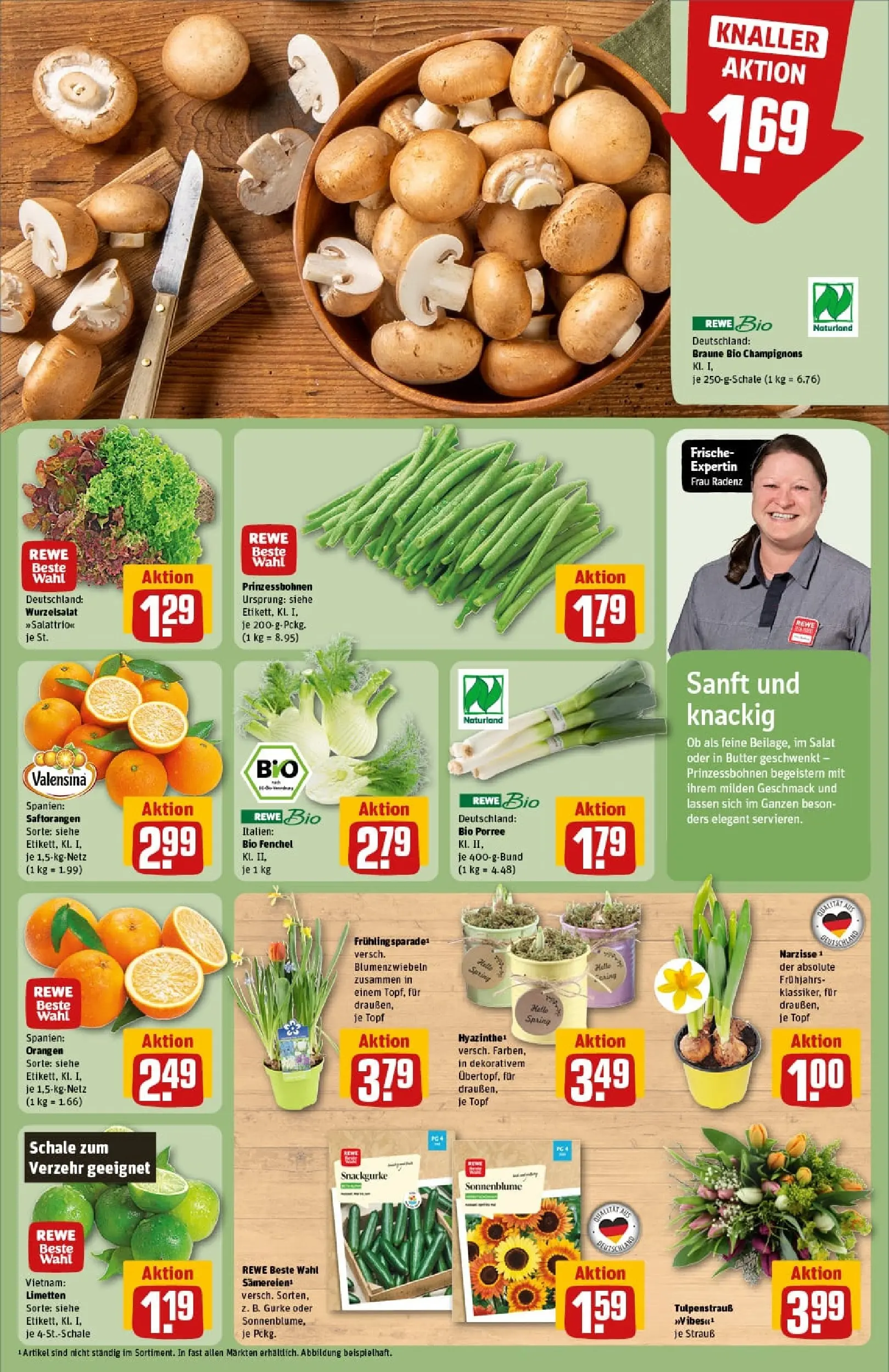 REWE Prospekt ab 01.02.2026 zum Blättern » Angebote | Seite: 9