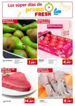 Del 28/01/26 al 14/02/26