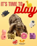 Iper Animal Offerte Iper Animal - al 31.01.2026