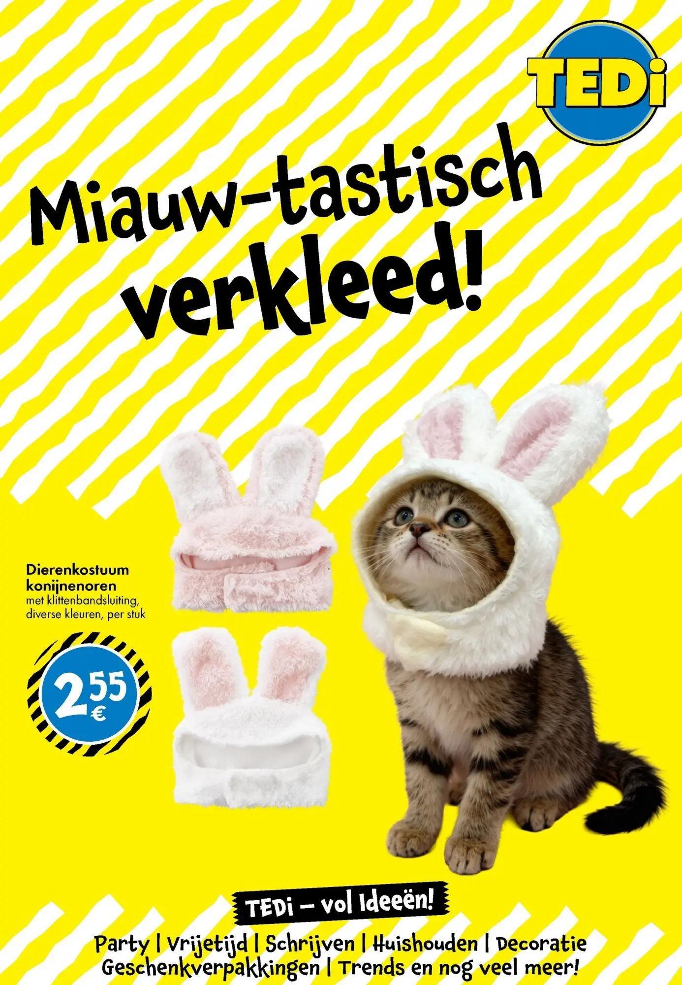 TEDi - TEDi folder tot 07.02.2026 vanaf 28/01/2026 | Pagina: 7