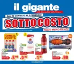 Il Gigante Sottocosto - al 07.02.2026
