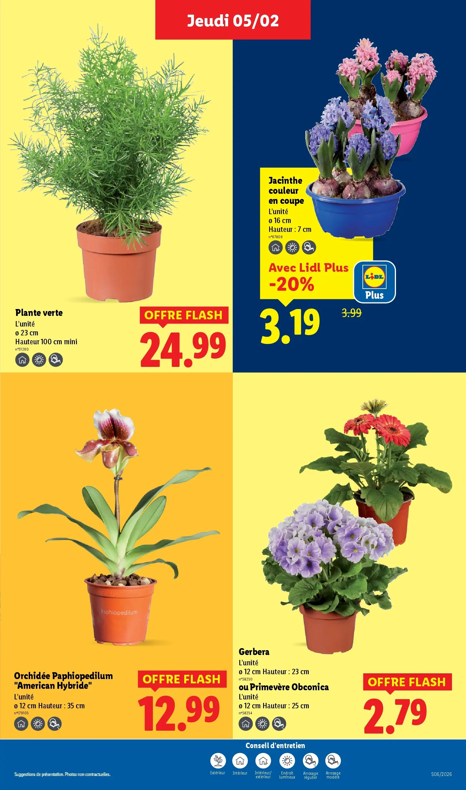 Catalogue LIDL du 04/02/2026 | Promo prospectus en ligne | Page: 31