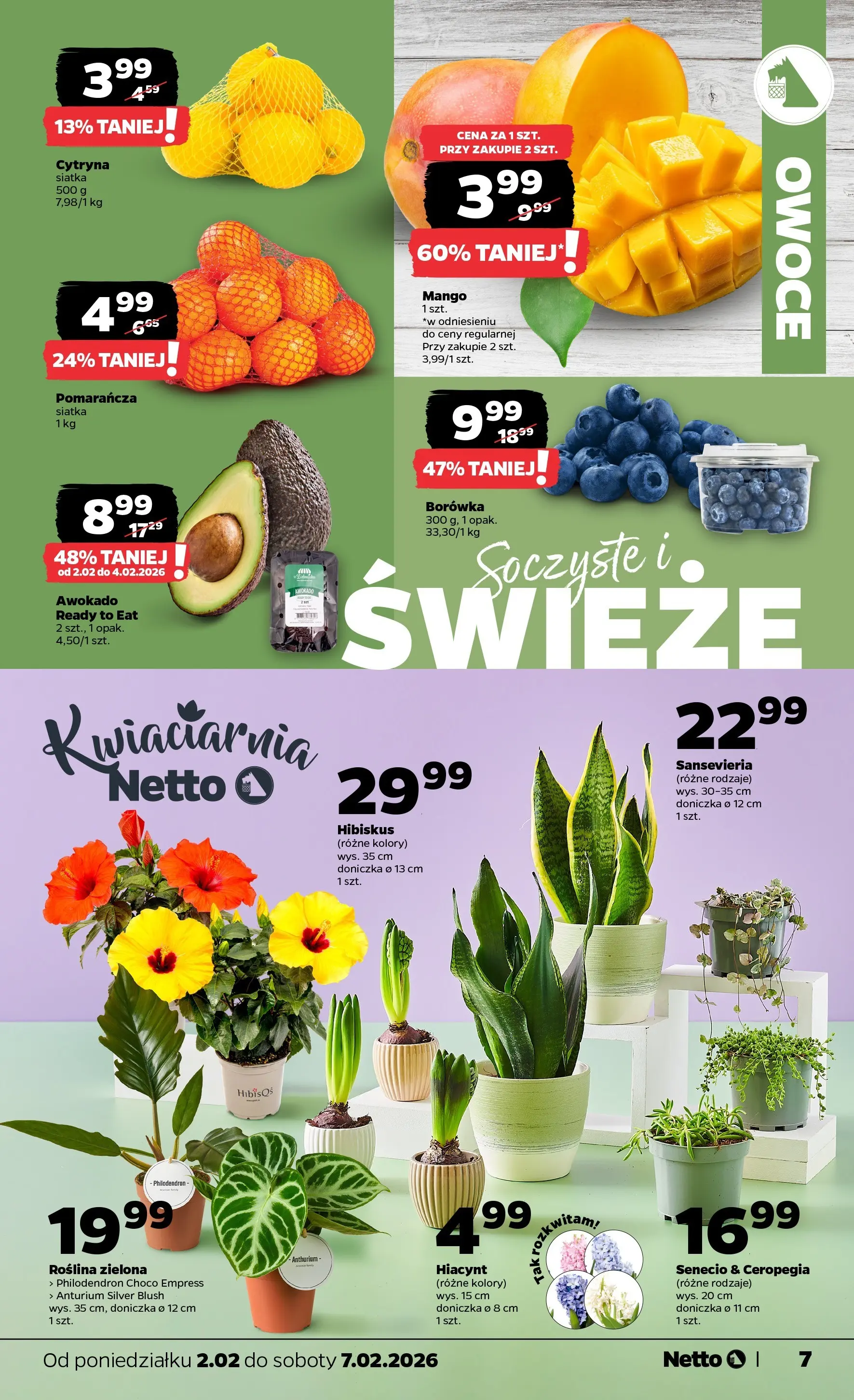 Netto - NETTO T06A ważne do 7.02.2026 od 01.02.2026 - Aktualne promocje | Strona: 7 | Produkty: Siatka, Doniczka, Awokado, Owoce
