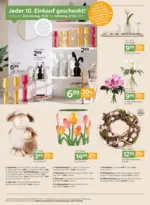 XXXLutz Lauterach - Ihr M&ouml;belhaus bei Bregenz Produktentwicklung Fr&uuml;hlingstrends - bis 03.03.2026