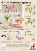 XXXLutz Lauterach - Ihr M&ouml;belhaus bei Bregenz Produktentwicklung Fr&uuml;hlingstrends - bis 03.03.2026