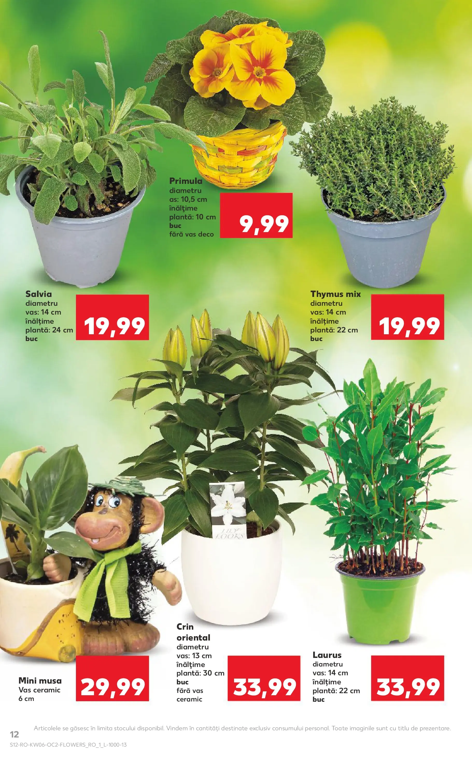 Catalog Kaufland - Arad 04.02.2026 - Revista si Oferta | Pagină: 12