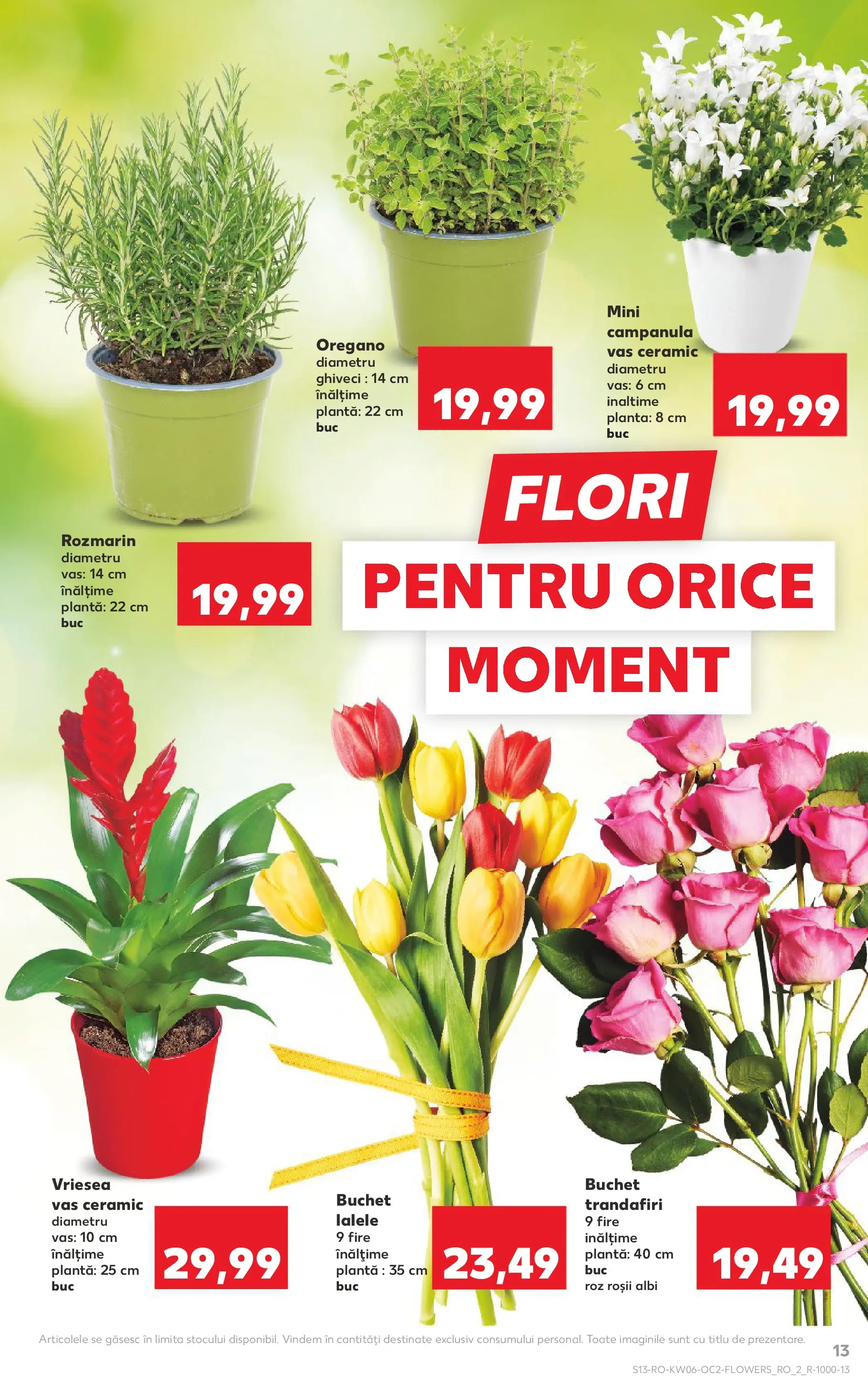 Catalog Kaufland - Arad 04.02.2026 - Revista si Oferta | Pagină: 13 | Produse: Ghiveci, Roșii