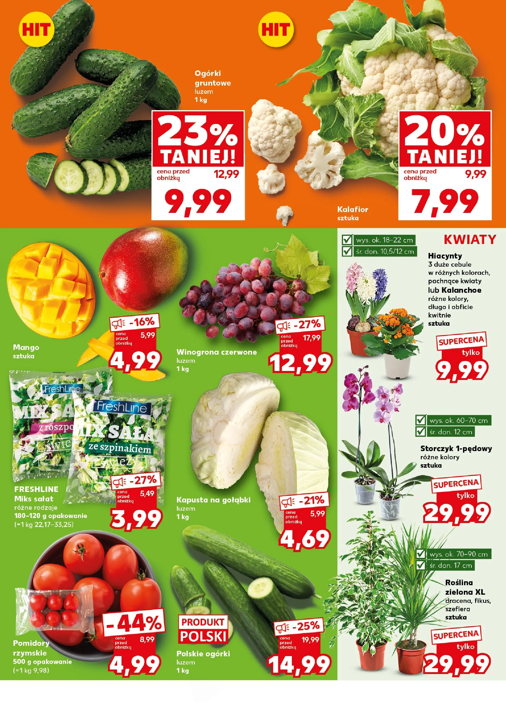 Kaufland gazetka - Super Sobota od 31.01.2026 - od jutra PDF | Strona: 9 | Produkty: Kalanchoe, Storczyk, Kwiaty, Ogórki gruntowe