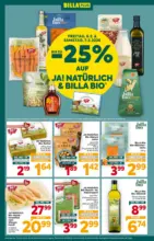 BILLA PLUS: Flugblatt Wien