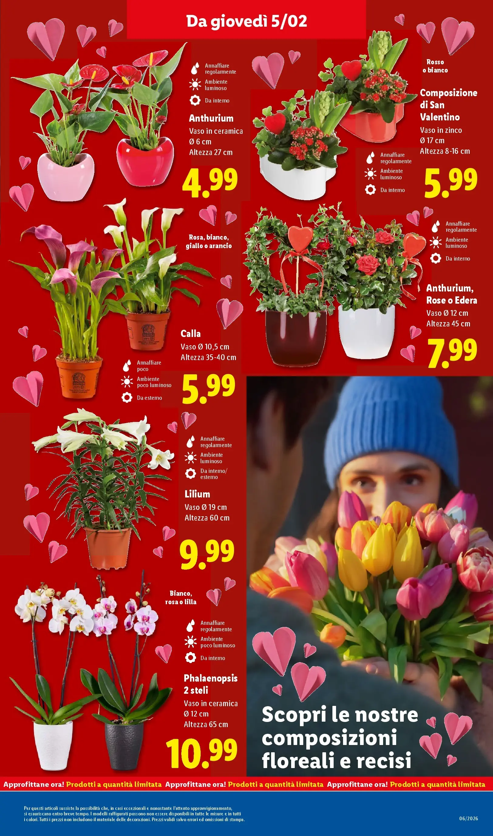 LIDL volantino della prossima settimana dal ﻿01/02/2026﻿ 📣 | Pagina: 29