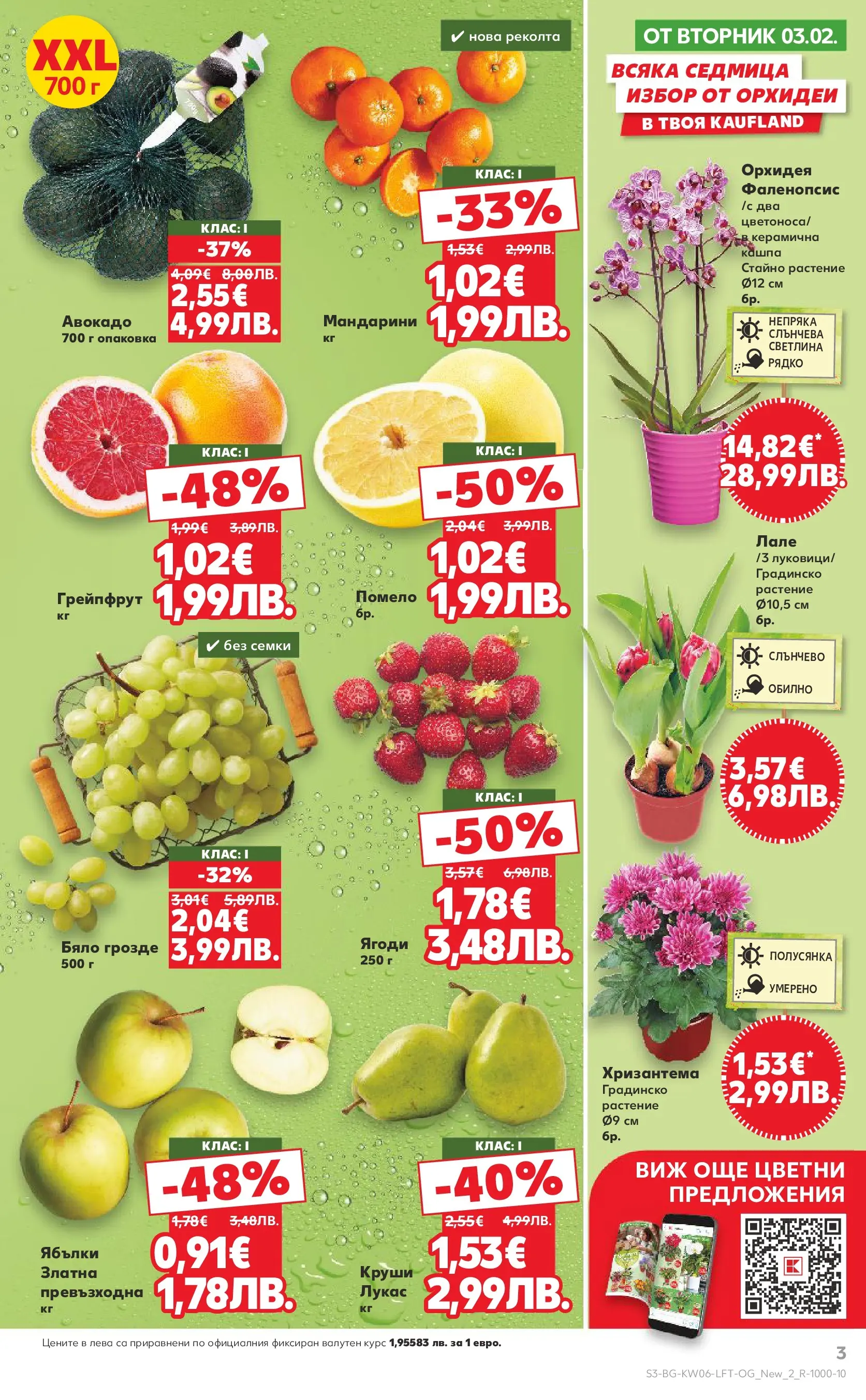 Нова Кауфланд брошура от 01.02.2026 | Страница: 3 | Продукти: Грейпфрут, Семки, Круши, Хризантема Нова Кауфланд - Спестявай с МЕГА оферти в Kaufland с валидност до 08.02.2026 от 01.02.2026 | Страница: 3 | Продукти: Грейпфрут, Семки, Круши, Хризантема