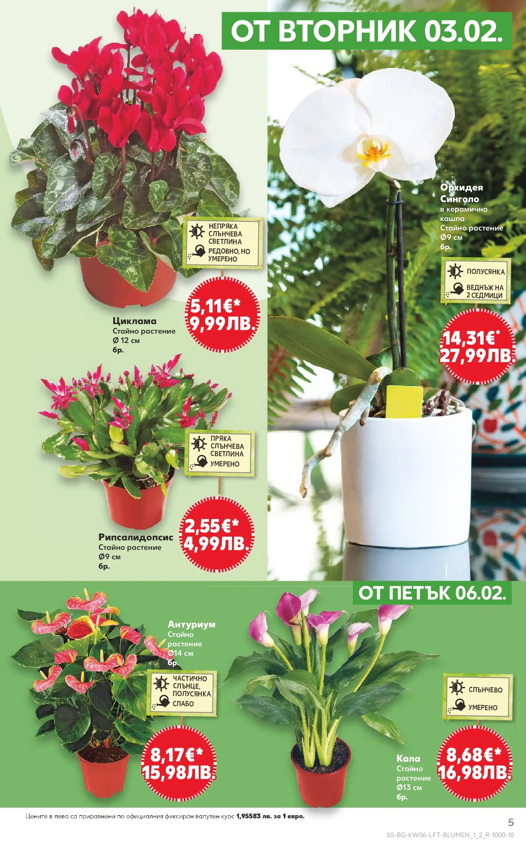 Нова Кауфланд брошура от 01.02.2026 | Страница: 5 | Продукти: Кашпа, Орхидея Нова Кауфланд - Спестявай с МЕГА оферти в Kaufland с валидност до 08.02.2026 от 01.02.2026 | Страница: 5 | Продукти: Кашпа, Орхидея
