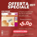 Brico Sapiens Offerta speciale - al 28.02.2026