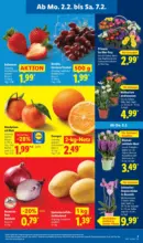 Lidl Lidl: Wochenangebote - ab 02.02.2026