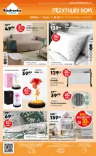 Aktualne promocje specjalne