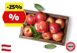 ZUR&Uuml;CK ZUM URSPRUNG Bio-Mini-&Auml;pfel aus &Ouml;sterreich, 600 g