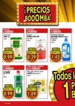 Del 2 al 15 de febrero 2026