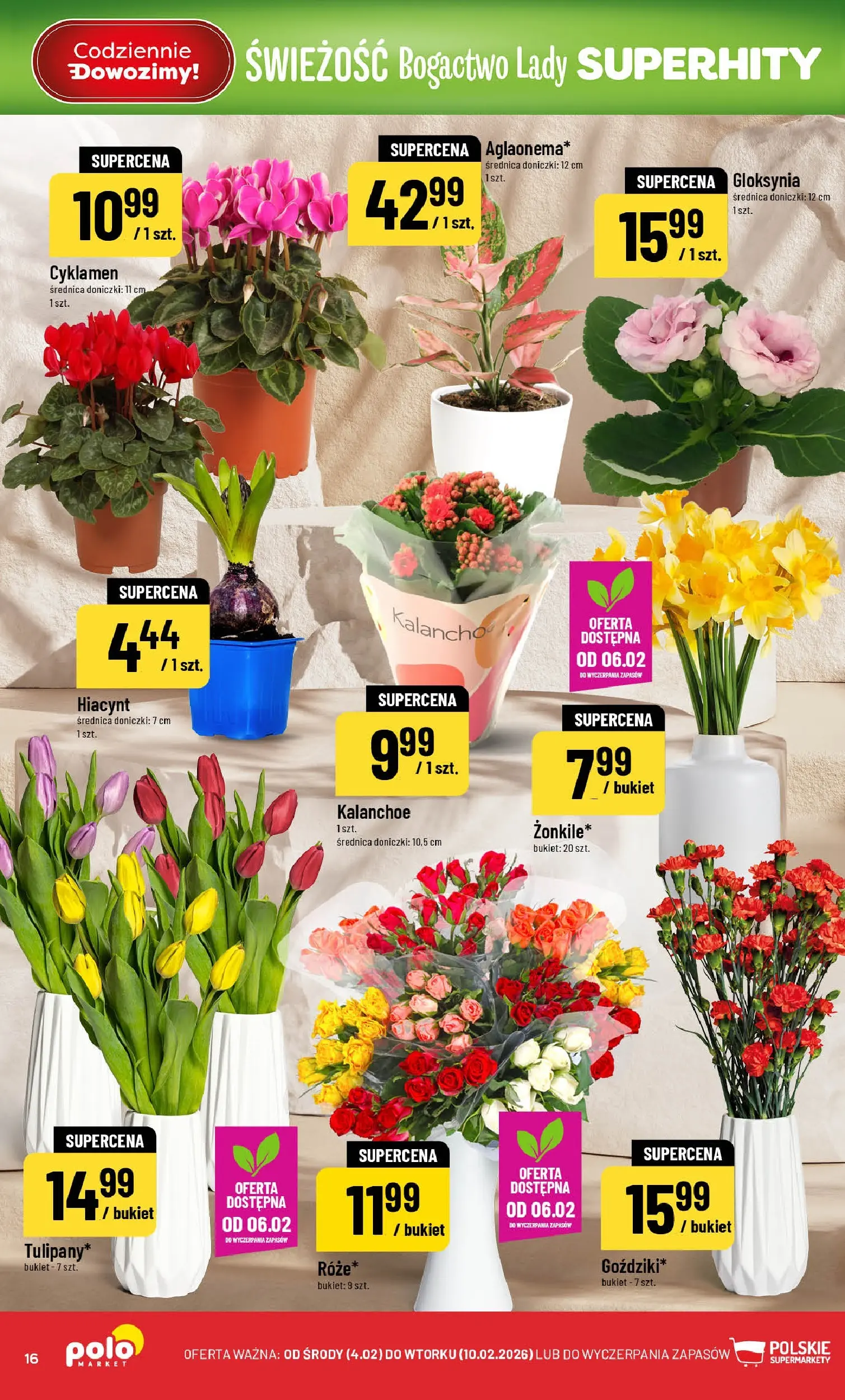 Nowa POLOmarket gazetka od jutra 03.02.2026 (PDF) | Strona: 16