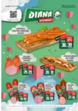 Catalog Diana până în data de 28.02.2026