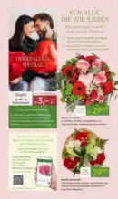 Pflanzen-K&ouml;lle: Valentinstag