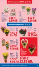 ЛИДЛ XXL оферти в ЛИДЛ с валидност до 15.02.2026 - до 15-02-26